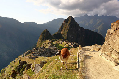 Machu Picchu_G1A6974.jpg