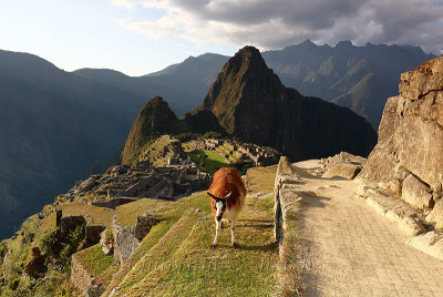 Machu Picchu_G1A6975.jpg