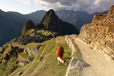 Machu Picchu_G1A6984.jpg