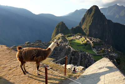 Machu Picchu_G1A6994.jpg