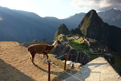 Machu Picchu_G1A6996.jpg