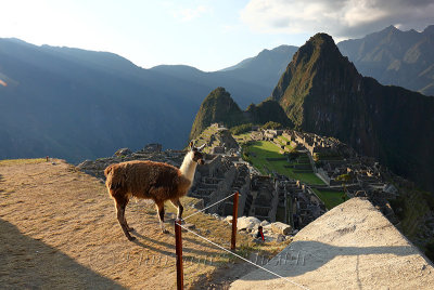 Machu Picchu_G1A6997.jpg