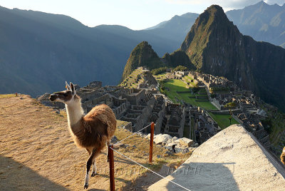 Machu Picchu_G1A6999.jpg