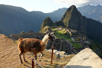 Machu Picchu_G1A7000.jpg