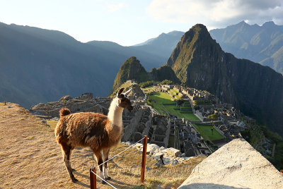 Machu Picchu_G1A7001.jpg