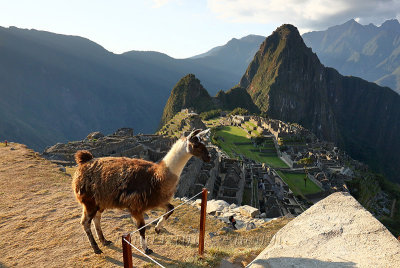Machu Picchu_G1A7004.jpg