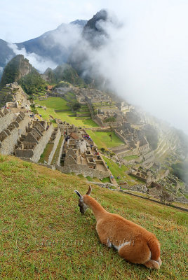 Machu Picchu_I2C0336.jpg