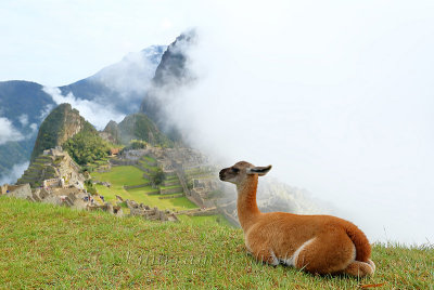 Machu Picchu_I2C0338.jpg