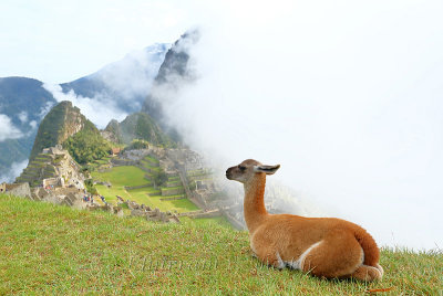Machu Picchu_I2C0339.jpg