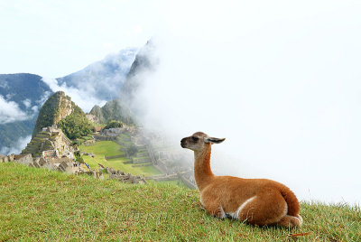 Machu Picchu_I2C0340.jpg