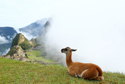 Machu Picchu_I2C0342.jpg