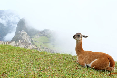 Machu Picchu_I2C0430.jpg
