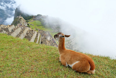 Machu Picchu_I2C0434.jpg