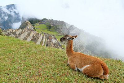 Machu Picchu_I2C0439.jpg