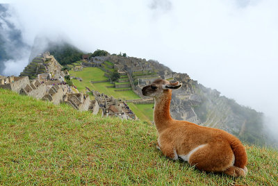 Machu Picchu_I2C0443.jpg