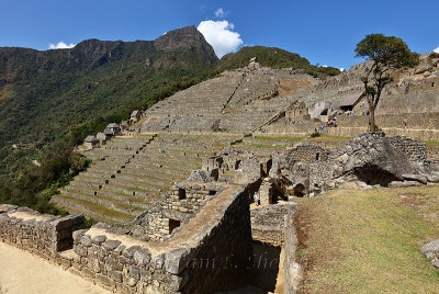 Machu Picchu_G1A6077.jpg