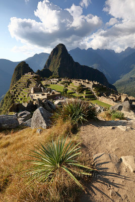 Machu Picchu_G1A6859.jpg