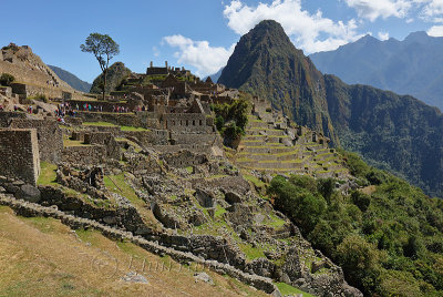 Machu Picchu_G1A6358.jpg