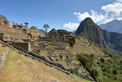 Machu Picchu_G1A6384.jpg