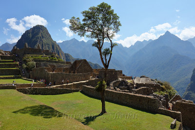 Machu Picchu_G1A6321.jpg