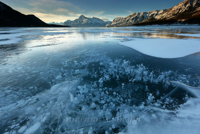 Abraham Lake_97A1500.jpg