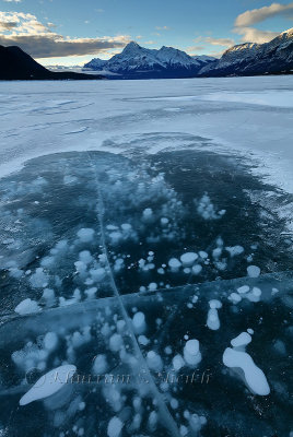 Abraham Lake_97A1765.jpg