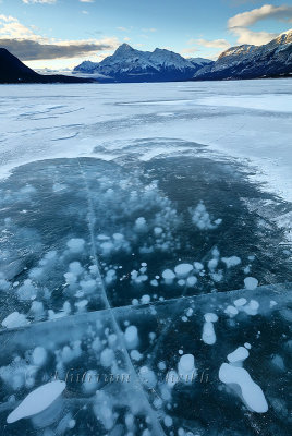 Abraham Lake_97A1772.jpg