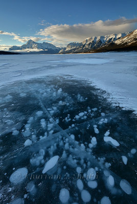 Abraham Lake_97A1799.jpg