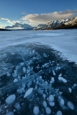 Abraham Lake_97A1800.jpg