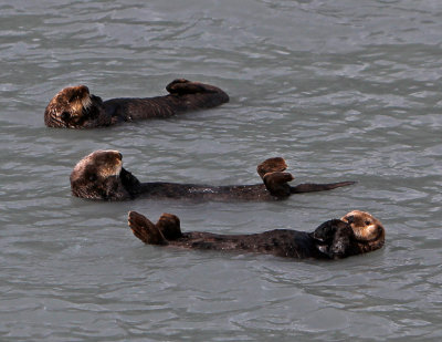 jus floatin.jpg