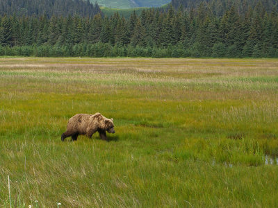 meadow snacks.jpg