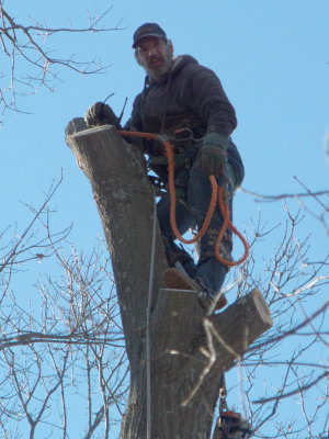 CIMG5415.jpg