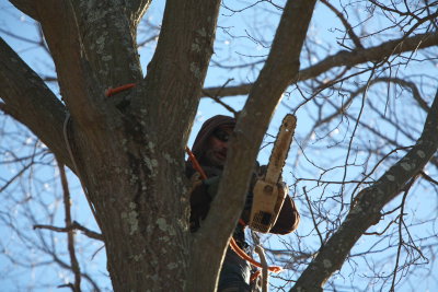 IMG_1194 - Copy.jpg