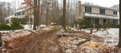 treeremovpan1sm.jpg
