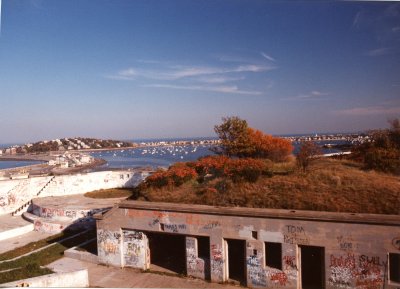 img039.jpg