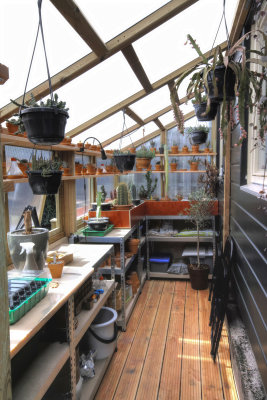 My little DIY greenhouse