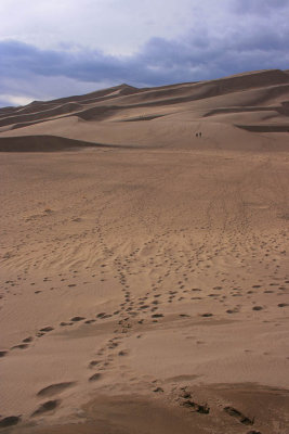 ICR2007_SAND9649_WALKTHEDUNES1PB.jpg