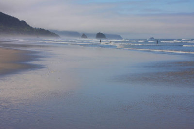 ICR2009_PDX2737_OREGCOAST1PB.jpg