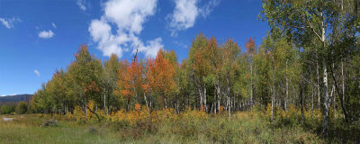 20140907_PANO_RMNPFALLBEGINS1PB.jpg