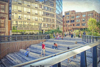 The High Line Park