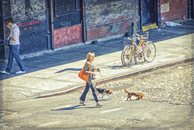 Walking the dogs....