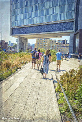 On the elevated walkway of the High Line Park, NYC