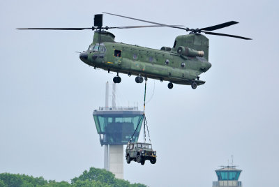 Nederlandse Chinook
