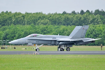 Finse Hornet