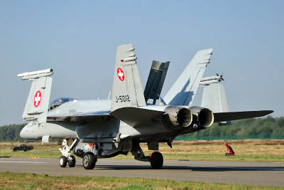 Zwitserse Hornet