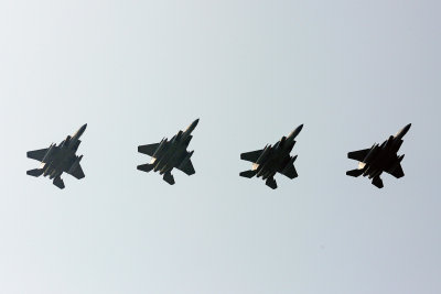 ANG F-15s in de overshoot