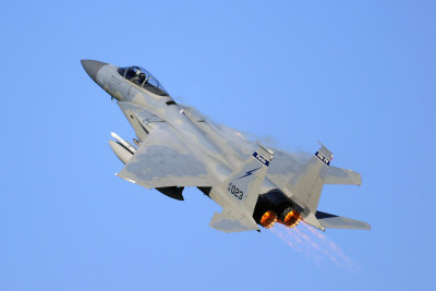 Florida ANG F-15C Eagle