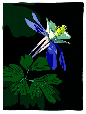 Columbine