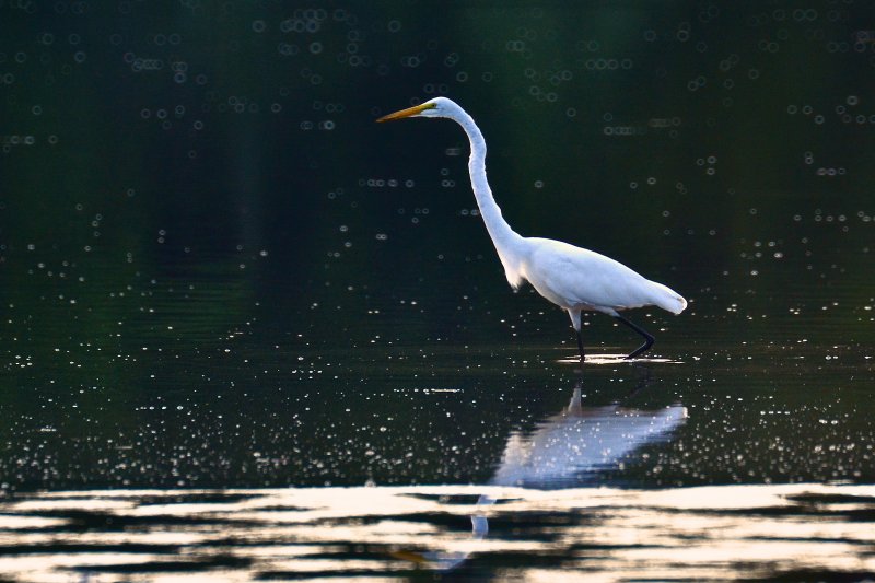 DSC_3846.jpg