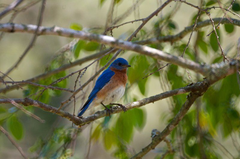 DSC_6716.jpg